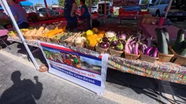 crossroads-gardens-squash-eggplant-and-family-farm-banner.webp
