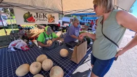 02-farmer-picks-up-cantaloupe-to-check.webp