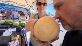 05-close-up-ripe-cantaloupe-in-hand.webp
