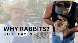 Unlocking The Delicious Potential Of Rabbit Meat.webp