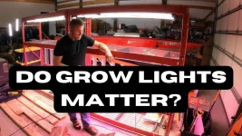 The Truth About Shop Lights vs. Grow Lights.webp