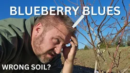 How I Saved My Bushes From a pH Disaster.webp